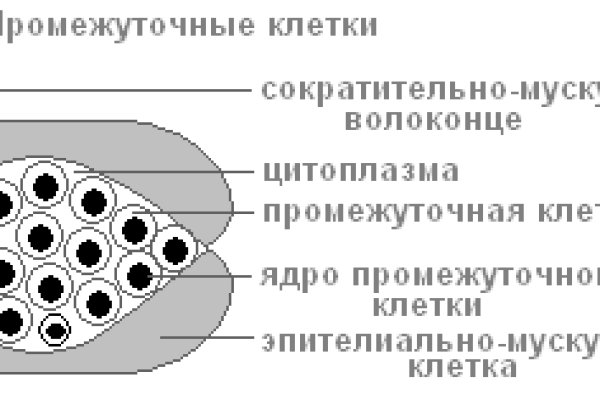 Кракен сайт зеркало рабочее на сегодня