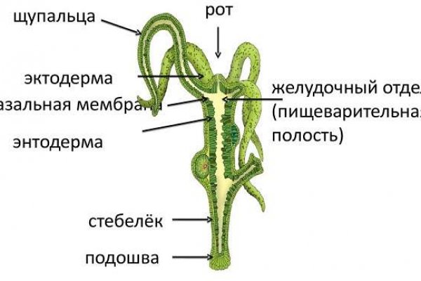 Кракен вход магазин